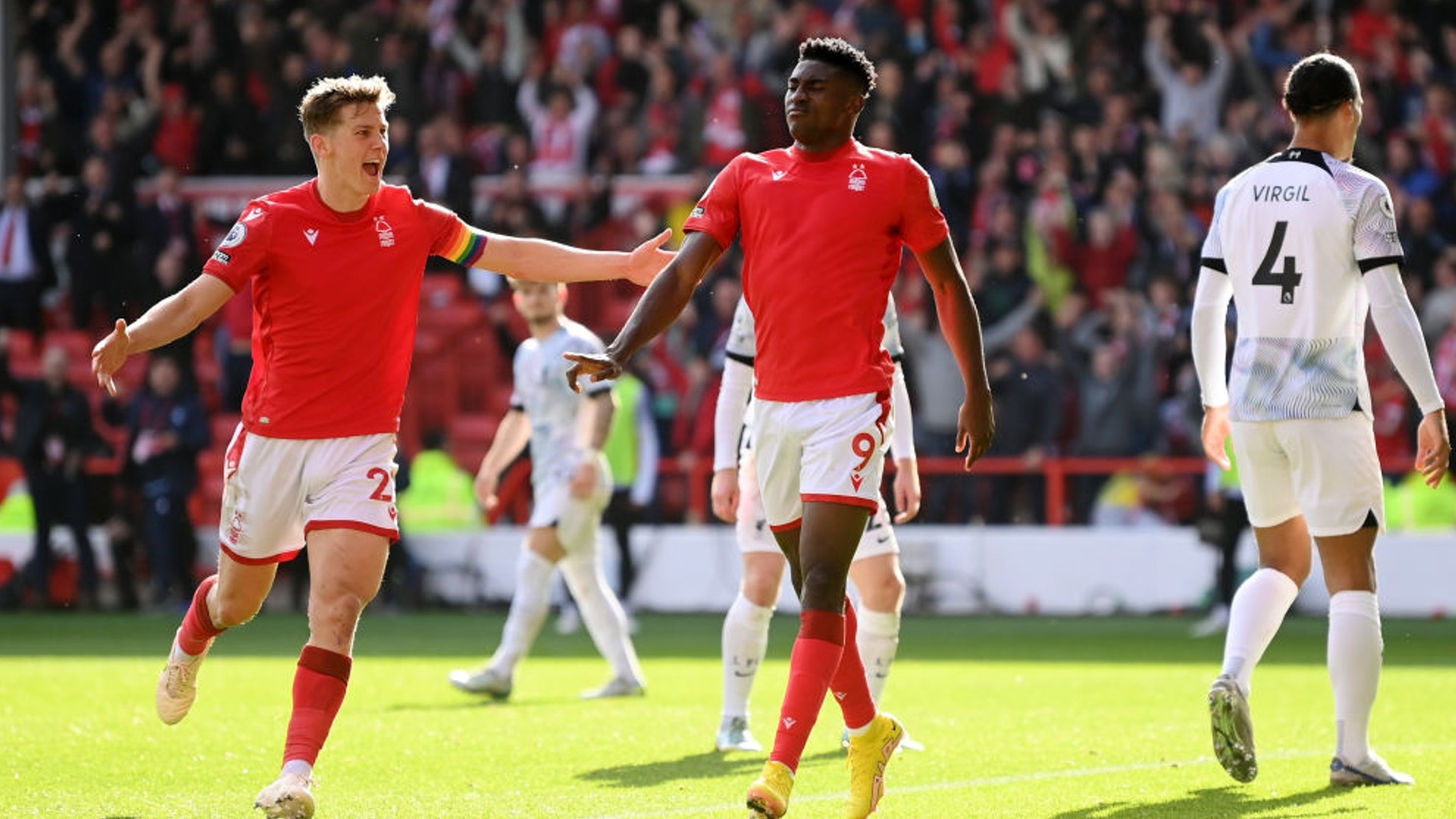 林与谢什科 林与谢什科